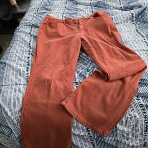 Judy  Blue  jeans. New